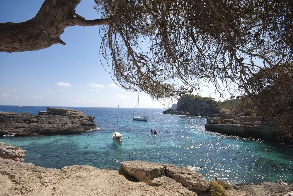 cala  (copia)  shutterstock_215007472 copia